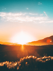 Profile. 체일로스.