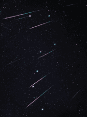 두 번째 첫사랑