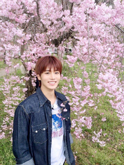 이모저모 요모조모