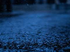 비가 쏟아졌다. 지독히 나쁜 날이었다.