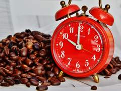 그들의 아침은 느리게 시작된다