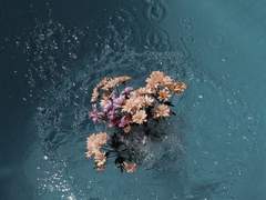 [전정국 김석진] 잠수이별한 전남친이 임신한 새 여친과 나타났다 01