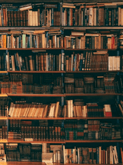 윤슬 독서 노트