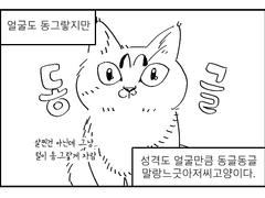 우리집 고양이 운동시키는 만화