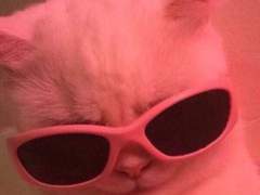 스엠나라 여주공주 1