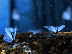 네게 전하는 말.