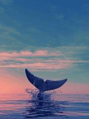 윤소은 :: 창작 단편 습작 모음