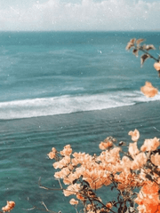 은영해준: 장편