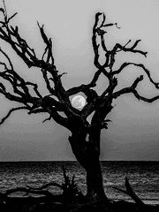 반시네 공장 행복한 소년