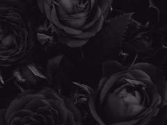 생각이 너무 많아서,