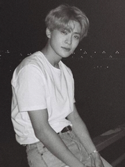 원더랜드 인 홀리졸리