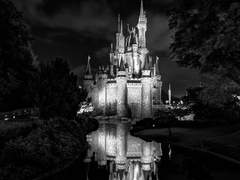 [제필] Peter pan 3 (完)