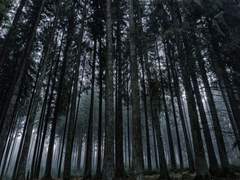 [원맥강림] 고대苦待