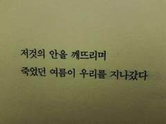 당신의 여름을 사랑합니다