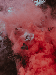 lonely northern little dream