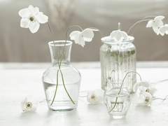 Season out Blossom 1.