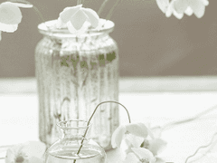 Season out Blossom 2.