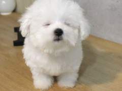 우당탕탕 수인학교