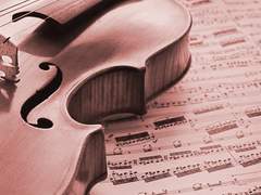 흰 백지가 악보에게