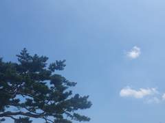 뮤지컬부터 애니까지