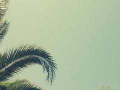 [보쿠아카] 熱帶夜