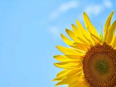 바지코마타로컴션