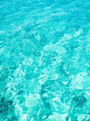 한일 작업 샘플