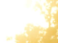 [익선우석]도피성 여름