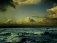 너를 잃어버린 세상에서