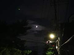 다섯은 세지지 않았다