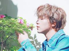 무지개 치과 옆 구름이네 꽃집 上