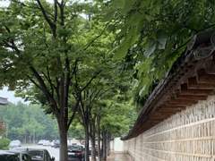 이젠 내가 이상한 것 같기도 해