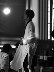 화랑이 사랑한 능소화