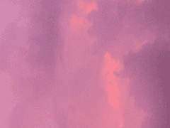 모란의 호위무사1