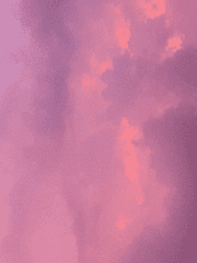 모란의 호위무사