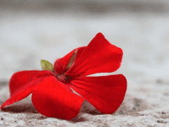 자신을 이기적이라고 생각하는 그 악마에게