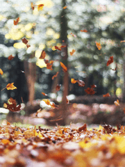 잊어야 한다는 마음으로