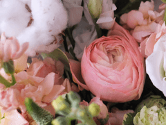 [재숕] Lisianthus 2