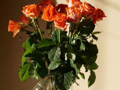 SCD-9021 " 장미를 든 소년 "