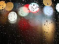 그들이 바라지 않았던 어느 하루