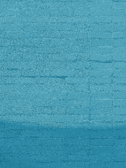 단편과 미완성작