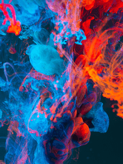 그냥 한번 써보기