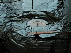 [엘리어스] Elias Eden Winter