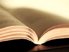 [루시아] Lucia Themis