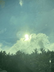 시와 문학 그리고 편지