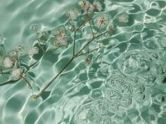 벤디시온 · 29 · 남성 · 인간