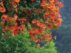 비록 그는 로봇이지만,