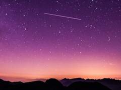 애채영 ✦ 19 ✦ XX