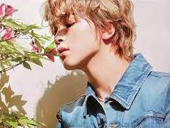 무지개 치과 옆 구름이네 꽃집 中