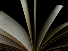 Cliché / 중혁독자